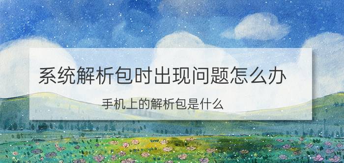 系统解析包时出现问题怎么办 手机上的解析包是什么？